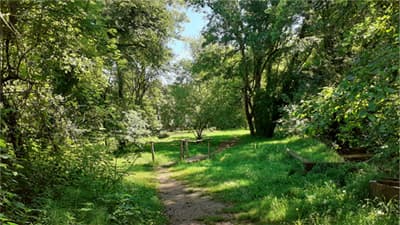 Photo du parc de Pombonne